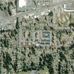 Tanglewilde map(satellite map)