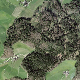Emmental District map(satellite map)