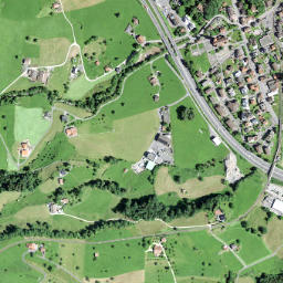 Goldau map(satellite map)
