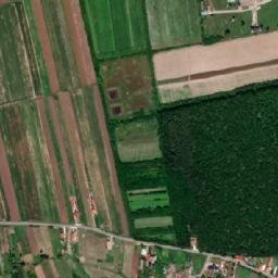 Oșorhei map(satellite map)