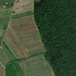Mogoşeşti map(satellite map)