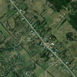 Schitu-Duca map(satellite map)