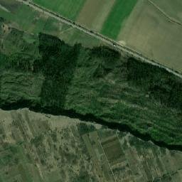 Costuleni map(satellite map)
