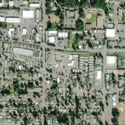 Lacey map(satellite map)