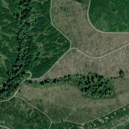 Pierce County map(satellite map)