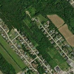 Miramichi map(satellite map)