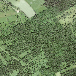 Le Locle District map(satellite map)