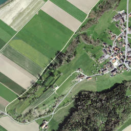 Radelfingen map(satellite map)