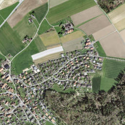 Bäriswil map(satellite map)