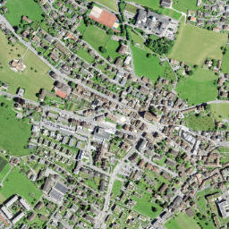 Schwyz map(satellite map)