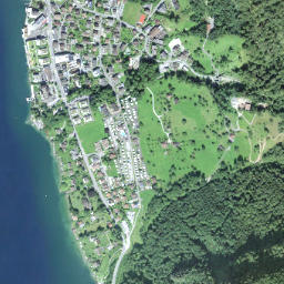Vitznau map(satellite map)