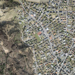 Bad Ragaz map(satellite map)