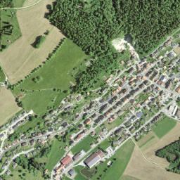 Les Ponts-de-Martel map(satellite map)