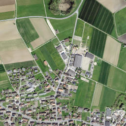 Müntschemier map(satellite map)