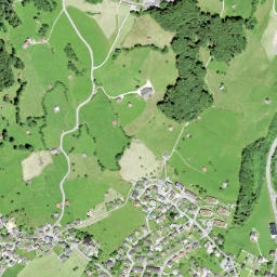 Schwanden map(satellite map)