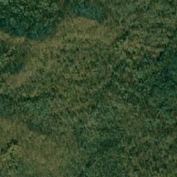 Bikinskiy Rayon map(satellite map)