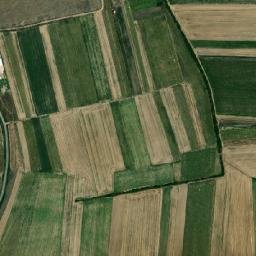 Nojorid map(satellite map)