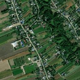 Ruginoasa map(satellite map)