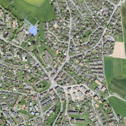 Bolligen map(satellite map)