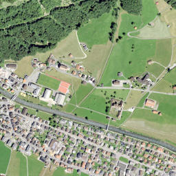 Muotathal map(satellite map)