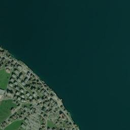 Beckenried map(satellite map)