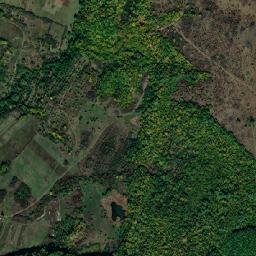 Vultureni map(satellite map)