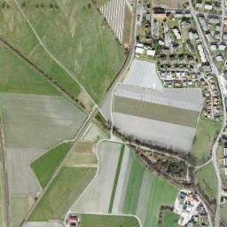 Landquart map(satellite map)