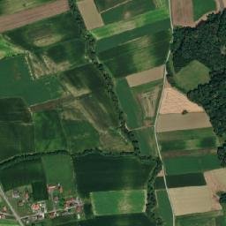 Pirching am Traubenberg map(satellite map)