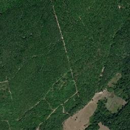 Cordău map(satellite map)
