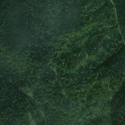 Lunca Bradului map(satellite map)