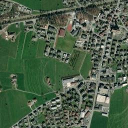 Alpnach map(satellite map)