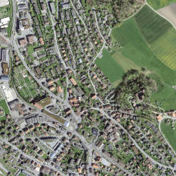 Worb map(satellite map)