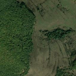 Fildu de Jos map(satellite map)