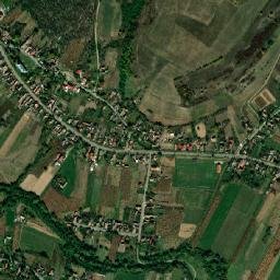 Borşa map(satellite map)