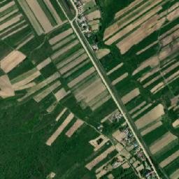 Poienile map(satellite map)