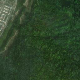 Dodeni map(satellite map)