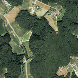 Baumgarten bei Gnas map(satellite map)
