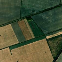 Cefa map(satellite map)