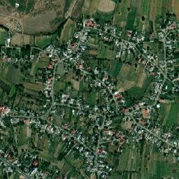 Cotu Vameș map(satellite map)