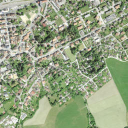 Fleurier map(satellite map)