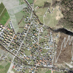 Trimmis map(satellite map)