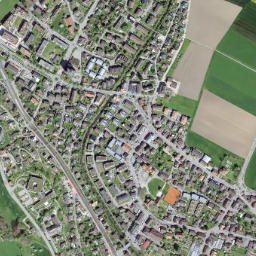 Belp map(satellite map)
