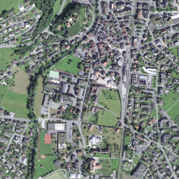 Sarnen map(satellite map)