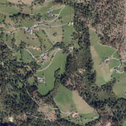 Stall map(satellite map)