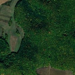 Comuna Chinteni map(satellite map)