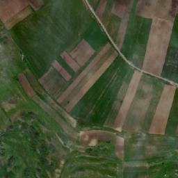 Budeşti map(satellite map)