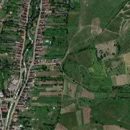 Batoș map(satellite map)
