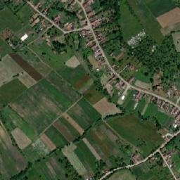 Logig map(satellite map)