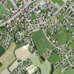 Domdidier map(satellite map)