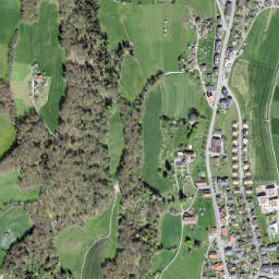 Toffen map(satellite map)